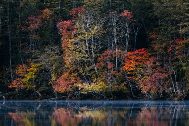 Sonbaharda Hokkaido Gölü