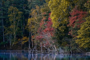 Sonbaharda Hokkaido Gölü