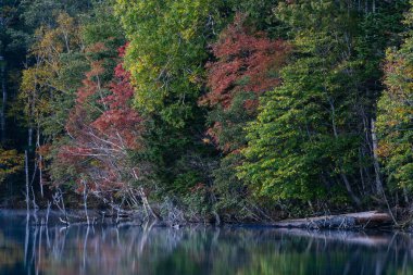 Sonbaharda Hokkaido Gölü