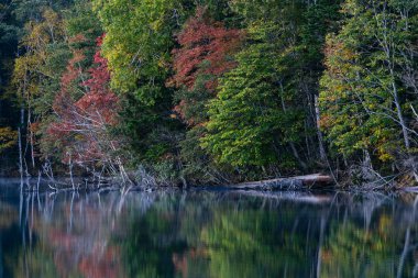 Sonbaharda Hokkaido Gölü