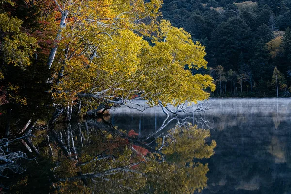 Lago Autunno Hokkaido — Foto Stock