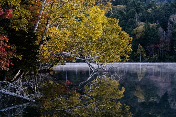 Lac Automne Hokkaido — Photo