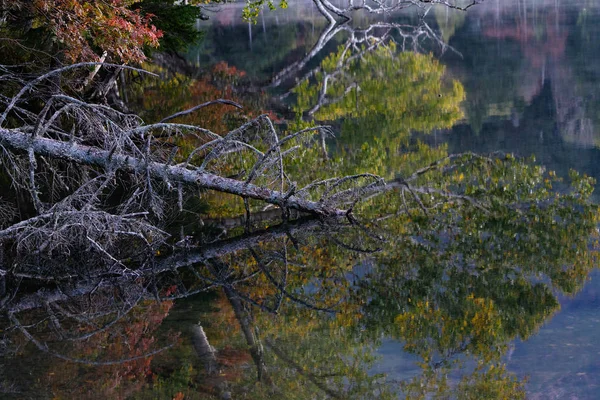 Озеро Осінньому Хоккайдо — стокове фото
