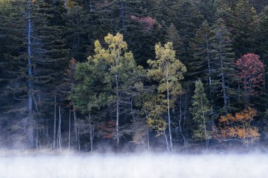 Hokkaido'da göl onneto