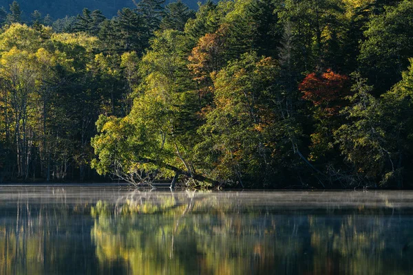 北海道的翁内托湖 — 图库照片