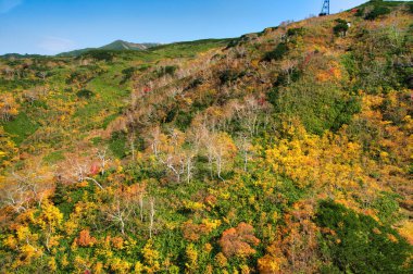 Sonbaharda Hokkaido Dağı 'nda.