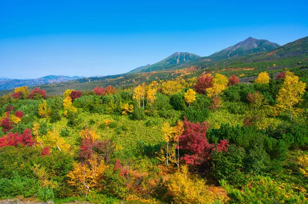 Tokachi Outono Hokkaido — Fotografia de Stock