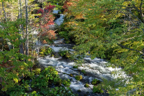 Чистый Ручей Листья — стоковое фото