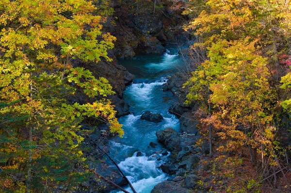 Herbstlaub Und Fluss — Stockfoto