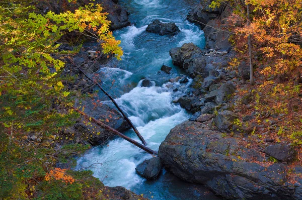 Herbstlaub Und Fluss — Stockfoto