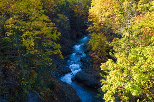 Осенние Листья Река — стоковое фото