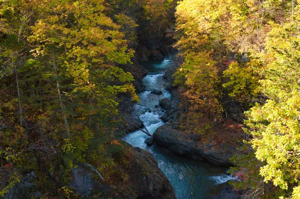 Herbstlaub Und Fluss — Stockfoto