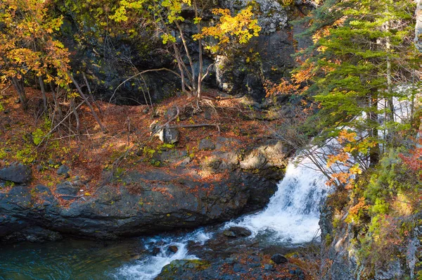 秋の紅葉と川 — ストック写真