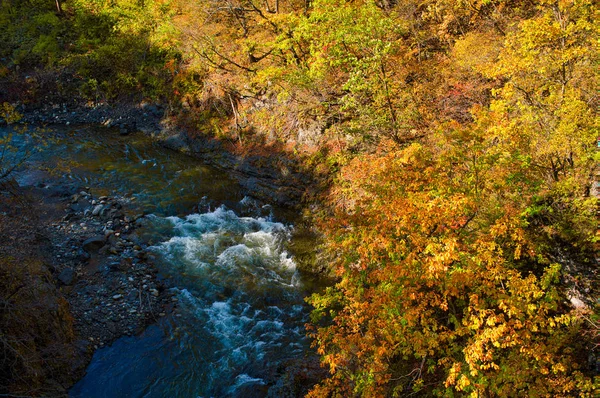 Herbstlaub Und Fluss — Stockfoto