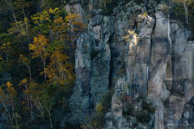 uçurum ve sonbahar yaprakları