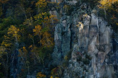 uçurum ve sonbahar yaprakları