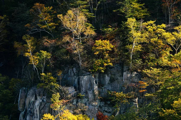 Klippe Und Herbstblätter — Stockfoto