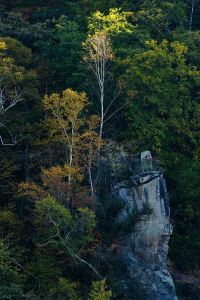 Klif Herfst Bladeren — Stockfoto