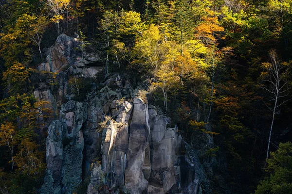 Klif Herfst Bladeren — Stockfoto