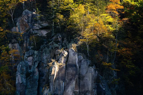 Falaise Feuilles Automne — Photo