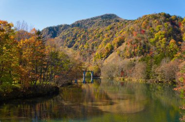 Sonbahar yaprakları nehrin yanında