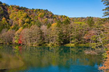 Sonbahar yaprakları nehrin yanında