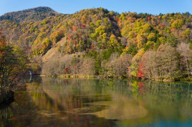Sonbahar yaprakları nehrin yanında