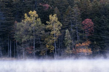 Gölü 'nde sonbahar.