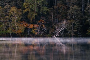 Gölü 'nde sonbahar.