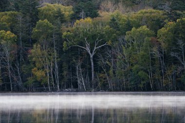 Gölü 'nde sonbahar.