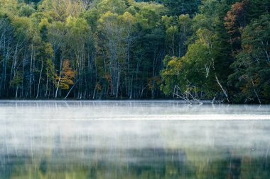 Gölü 'nde sonbahar.