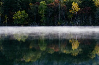 Gölü 'nde sonbahar.