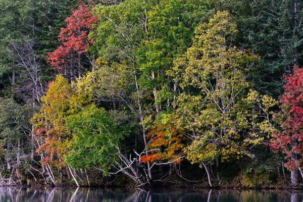 Autumn Lake Onneto — Stock Photo, Image