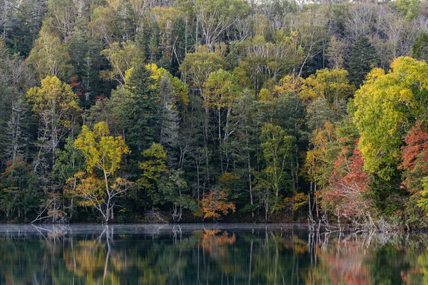 Automne Dans Lac Onneto — Photo