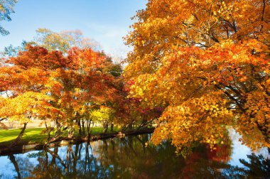 Shimizu parkı sonbaharda hokkaido