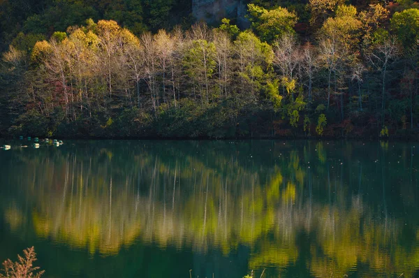 Floresta Lago Outono Hokkaido — Fotografia de Stock