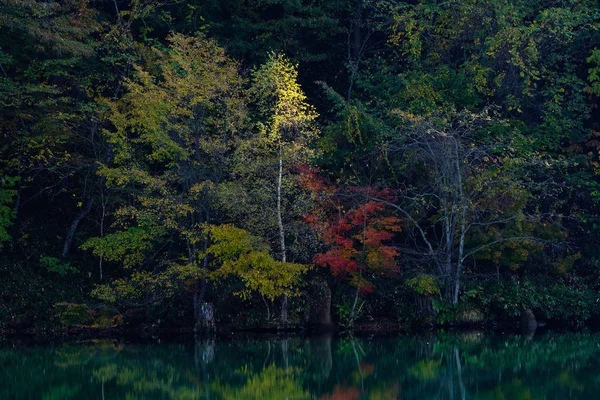 Floresta Lago Outono Hokkaido — Fotografia de Stock