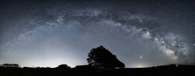 Samanyolu galaksisi ve ağacı