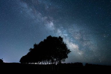 Samanyolu galaksisi ve ağacı