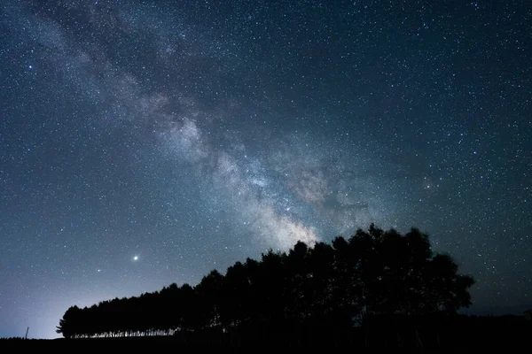 Vía Láctea Galaxia Árbol — Foto de Stock