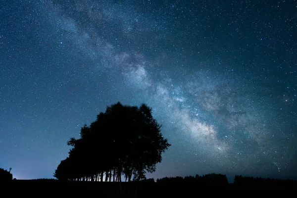 Milky Way Galaxy Tree — стоковое фото