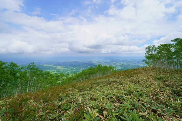 mountain climbing in summer hokkaido