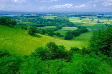 Hokkaido japan 'daki manzara