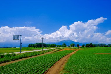 Düz yol ve mavi gökyüzü