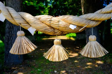 Japonya 'daki kutsal tapınak ipi.