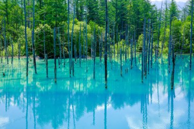 biei hokkaido 'daki mavi gölet