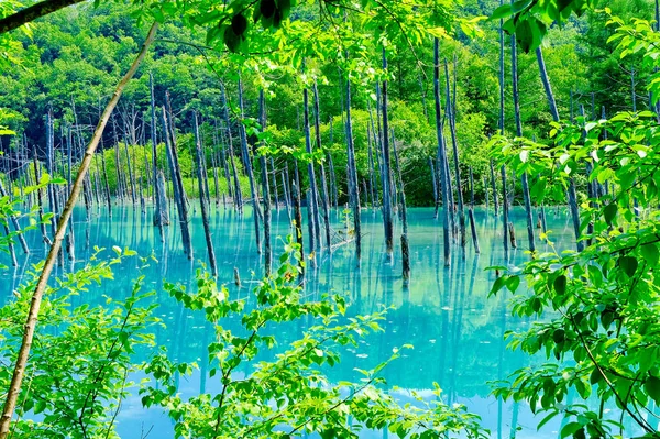 Blå Damm Biei Hokkaido — Stockfoto