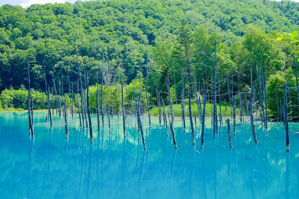 Lagoa Azul Biei Hokkaido — Fotografia de Stock