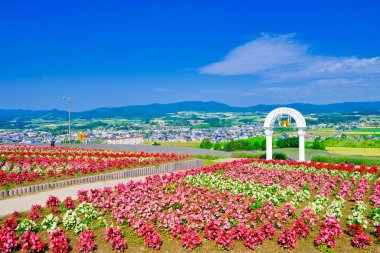Furano Hokkaido 'daki Hinode Parkı
