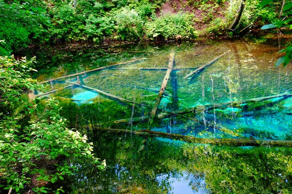 Transparenter Teich Sommer Hokkaido — Stockfoto